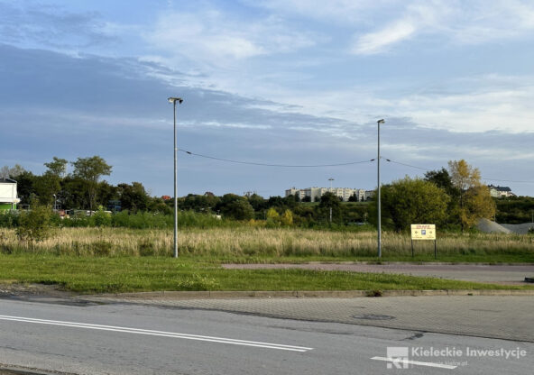 Hale produkcyjno-magazynowe Skrajna 59A (Euro-Grzyb)